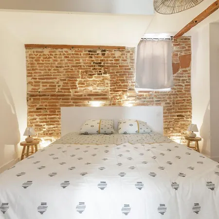 Elégant Avec Balnéo à 100m Du Capitole Appartement *