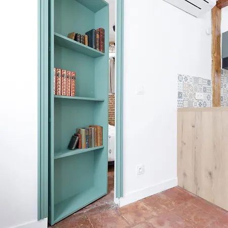 Elégant Avec Balnéo à 100m Du Capitole Appartement Toulouse