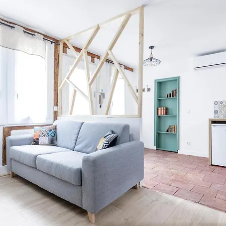 Appartement Elégant Avec Balnéo à 100m Du Capitole