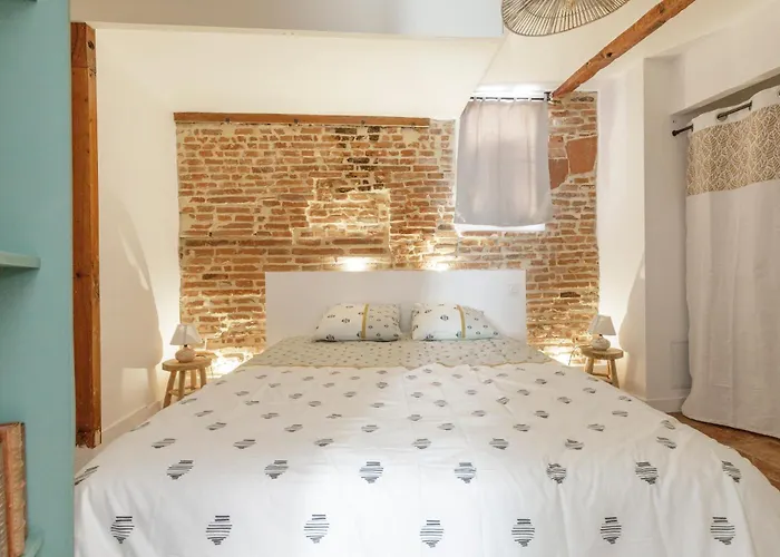 Elegant Avec Balneo A 100m Du Capitole 아파트 *